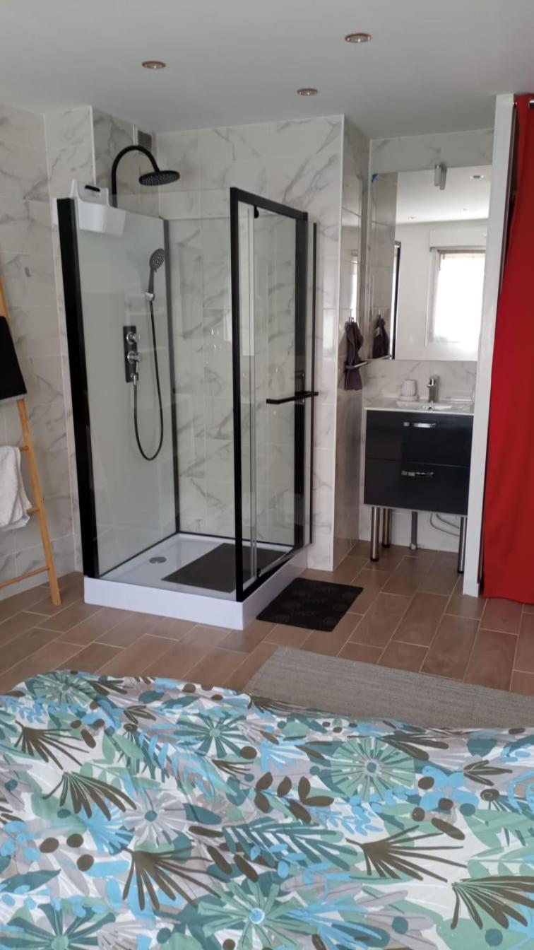 Apartmán Carol California Chevigny-Saint-Sauveur Pokoj fotografie